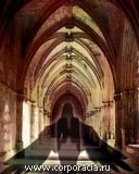 ������ �����