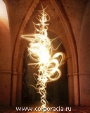 ������������ ����