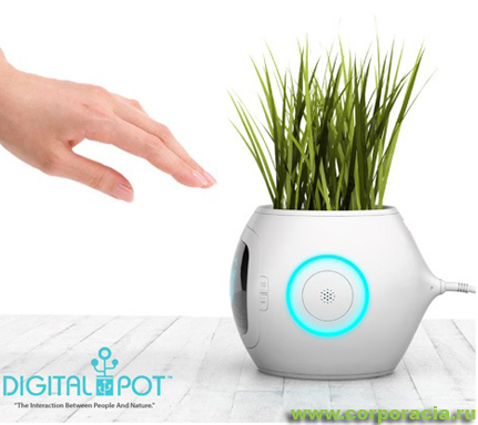 Digital Pot