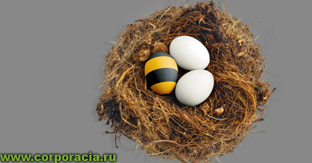 nest