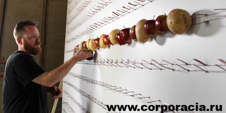 800 яблок и картофеля