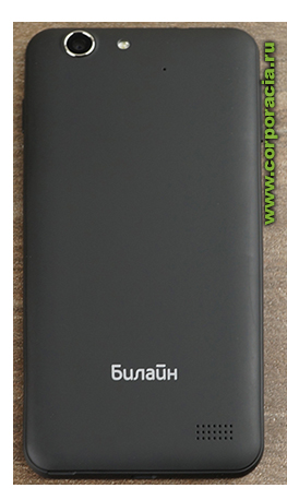 Билайн Фаст