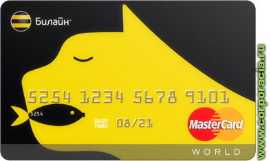     MasterCard 