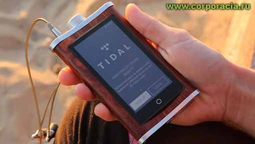 Echobox Explorer: -    -