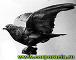 www.corporacia.ru