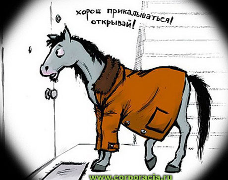 Конь в пальто