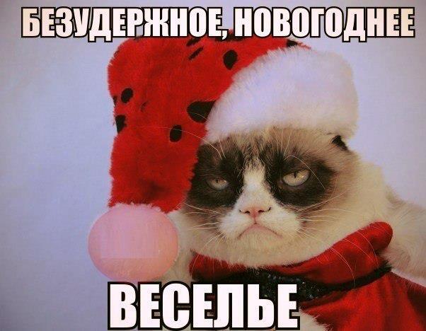 Grumpy cat